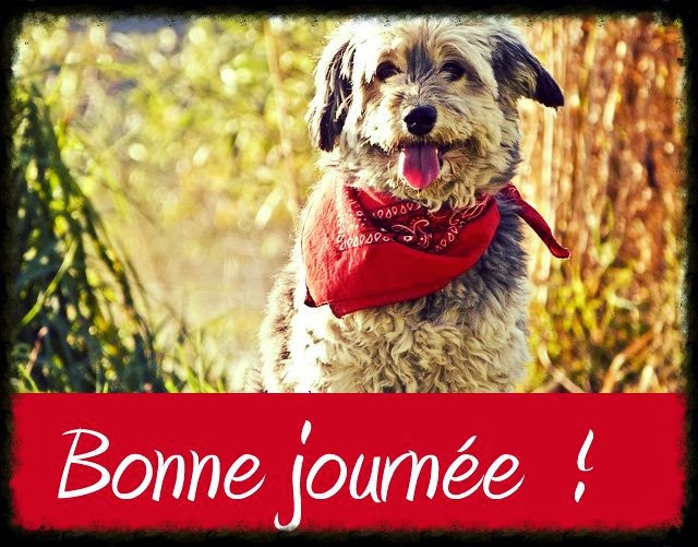 http://3.bp.blogspot.com/-DpW24gM55E0/UwpmGAtVnEI/AAAAAAAAChc/P54awWDYP7U/s1600/bonne+journ%C3%A8e.jpg