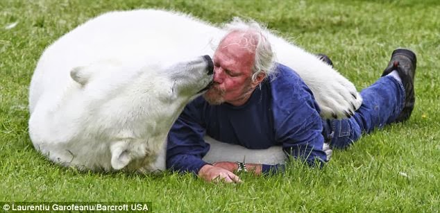 Affection: Agee licks Mark's face as they play around on the grass
