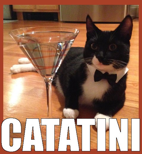 Catatini Cat Martini