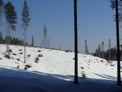 Babia Góra zimą, zabawy na śniegu, ferie zimowe-zakończenie