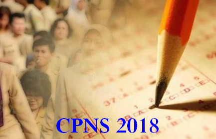 Kuota CPNS Pelamar Umum Capai 154 Ribu, MenPAN : Pendaftaran Mulai Akhir Juli
