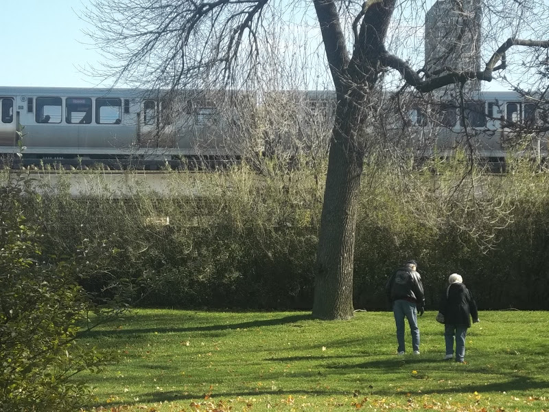 Help name that book picture