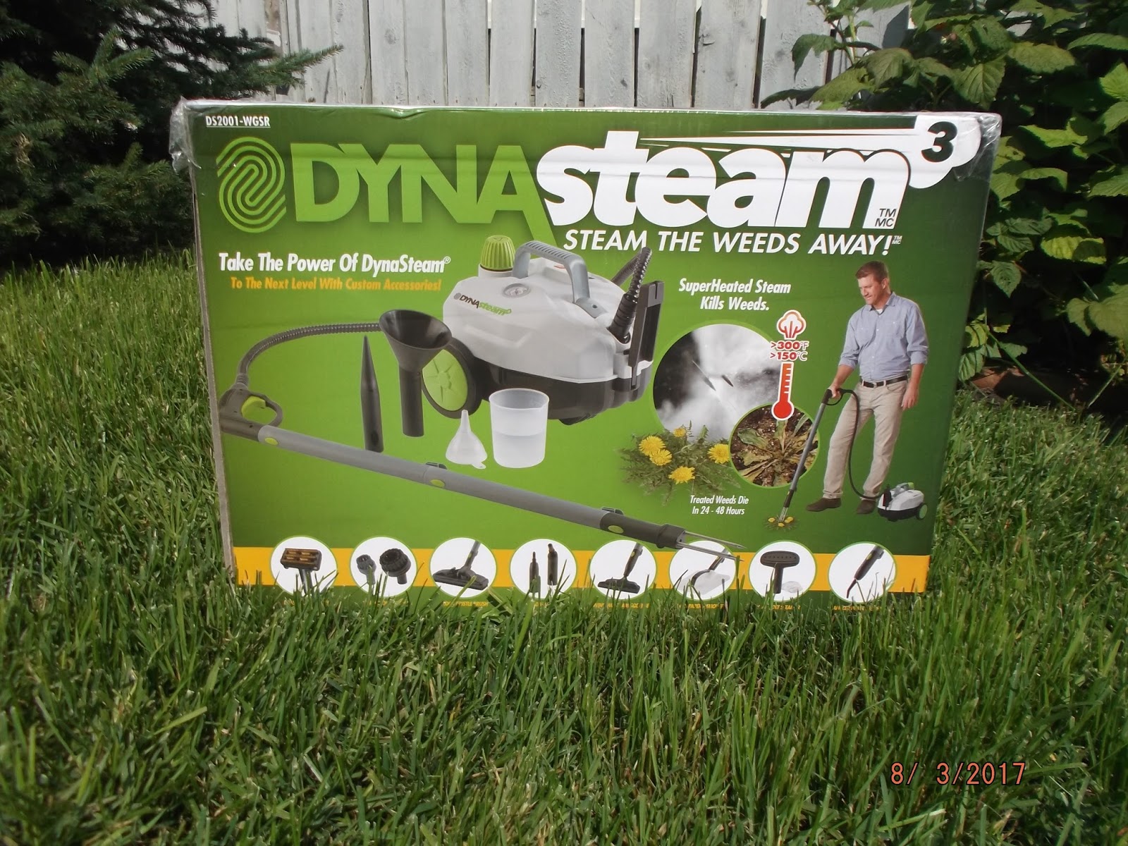 DynaSteam DS2001WGSR Wheels Steam Weeder, Clothes, BBQ Grills,Flooring