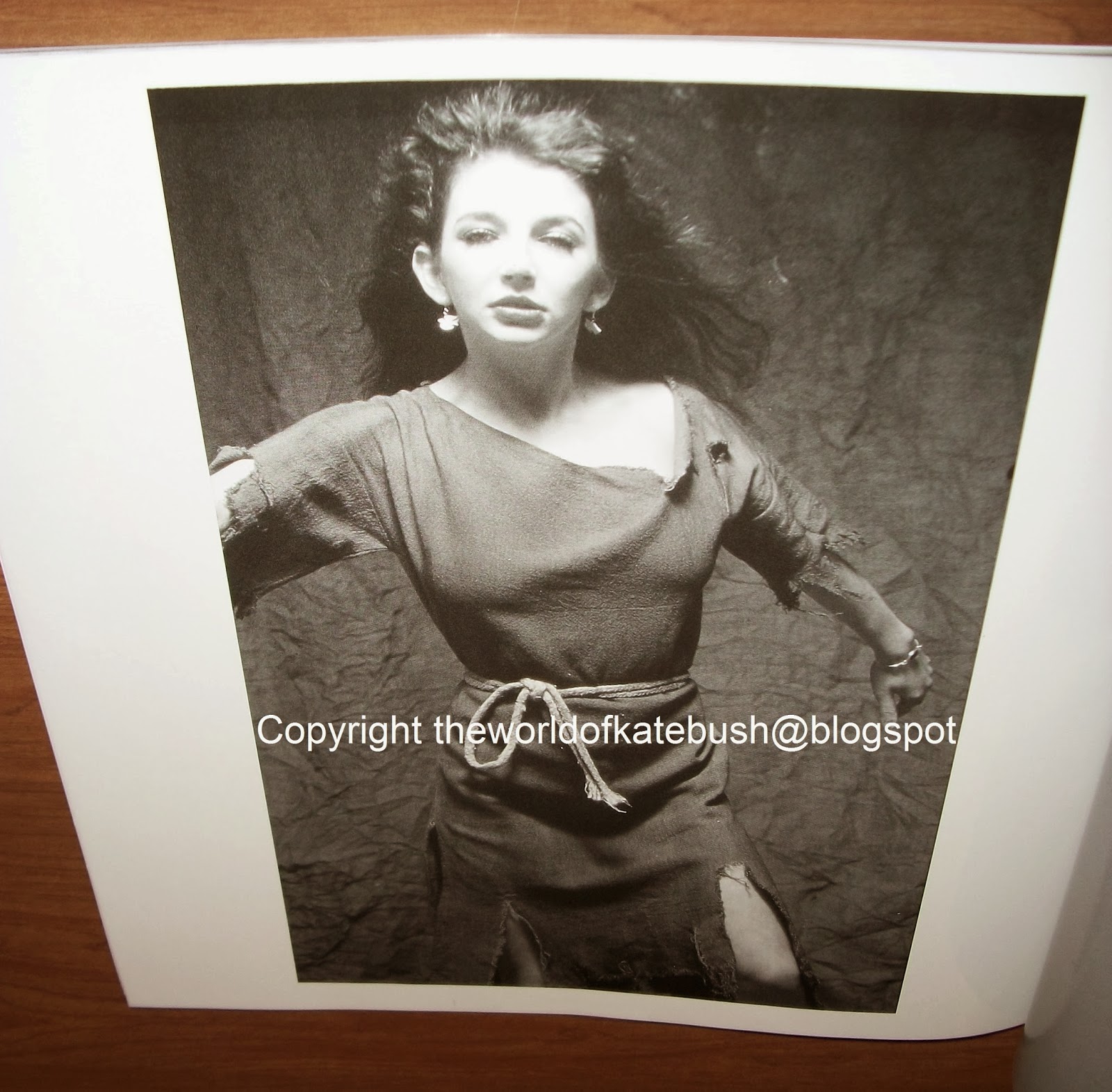 THE WORLD OF KATE BUSH Never For Ever (Book)