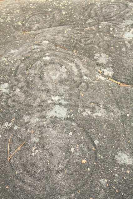 Petroglifos de Campo Lameiro