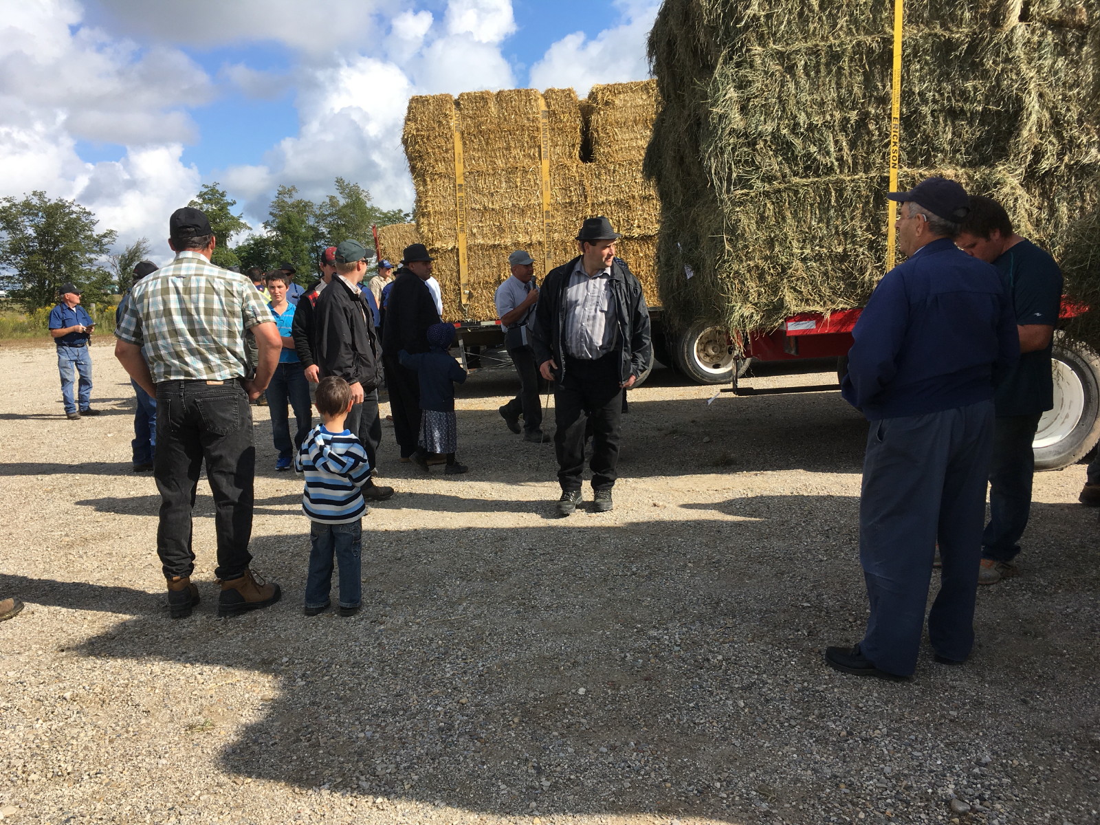 Anja's Photo Journal Elmira Hay Auction