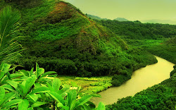 wallpapers nature screensavers desktop background backgrounds greenery forest place india rain places contrast christmas land unique