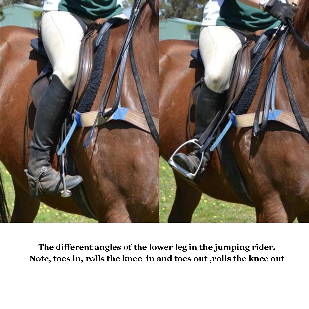 LegUP Fitness: Building Athletic Stamina as a Rider: LOWER LEG Edition