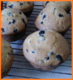 Homemade blueberry muffins a la wild blueberries!