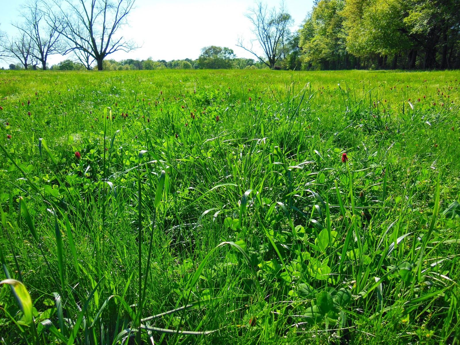 Livestock Communication Improve Pastures, Save Money