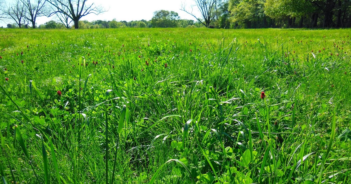 Livestock Communication Improve Pastures, Save Money
