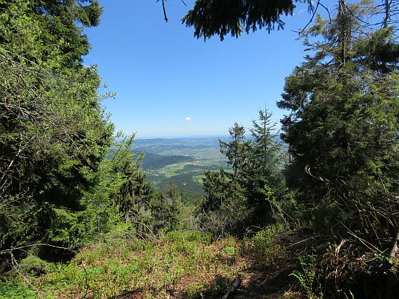 Widok z Mogielicy widok