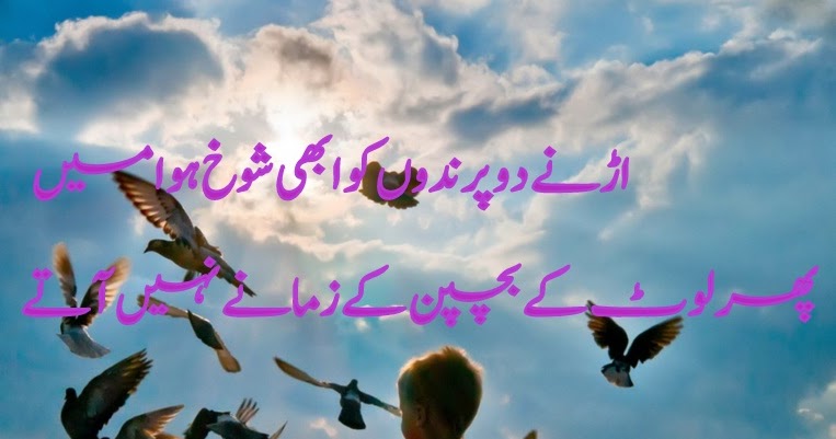 Urdu Poetry :        اردو شاعری cover image