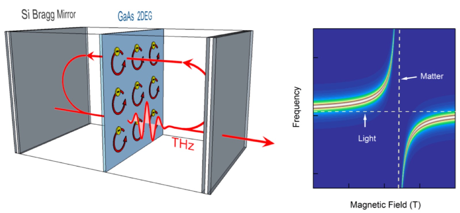 Light and matter quantum coupling merger