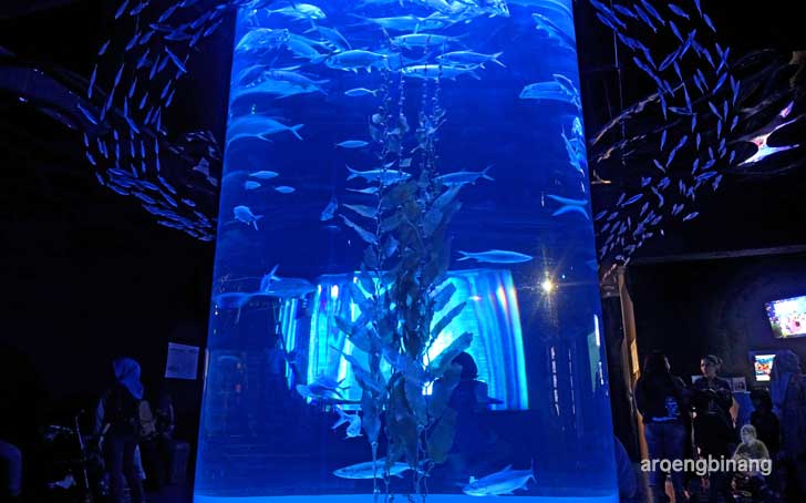 jakarta aquarium neo soho