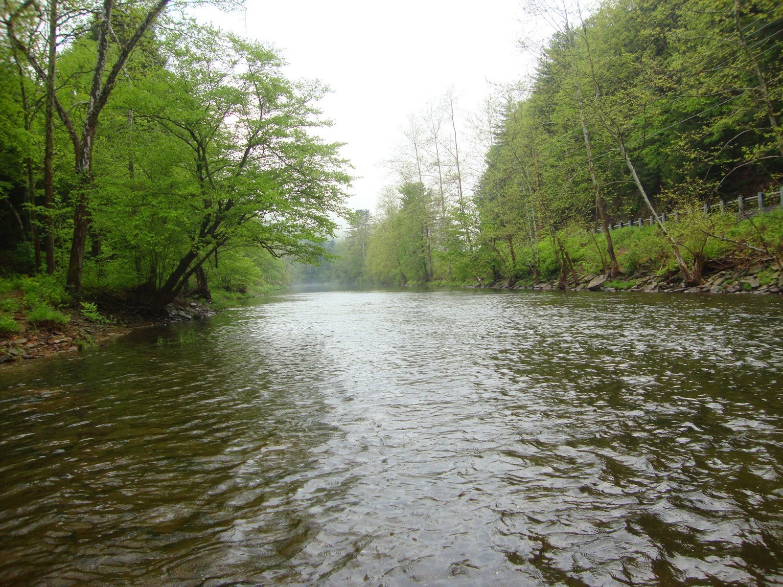 StreamSide Tales Variety on Kettle Creek