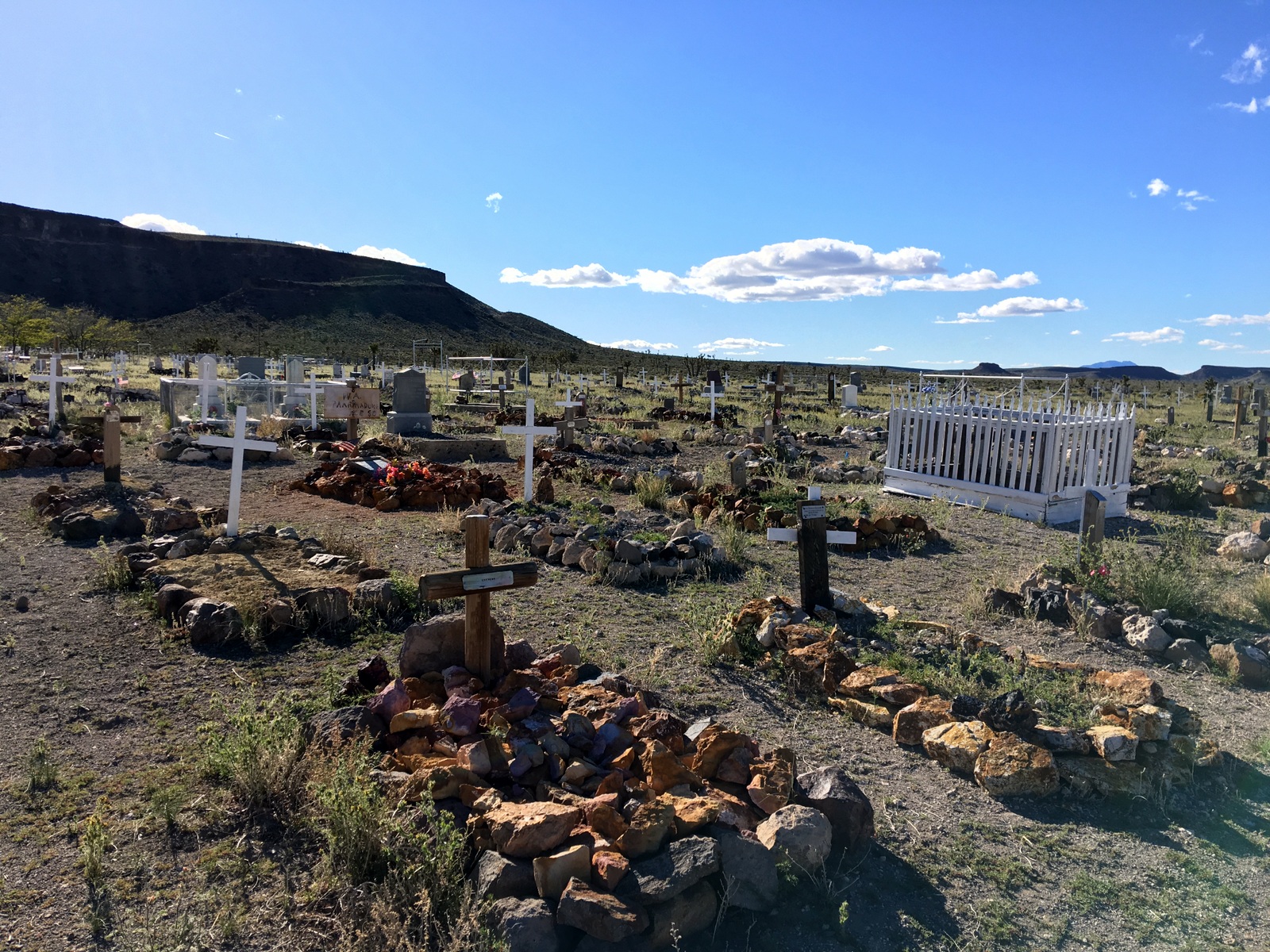 What Am I Doing? Goldfield Cemetery, Goldfield Nevada