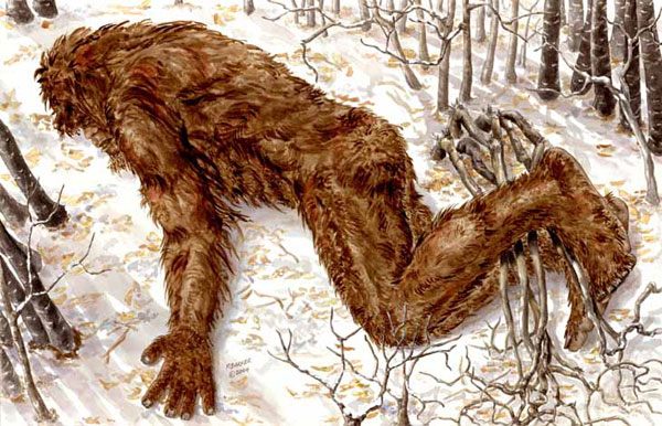 Risse Bigfoot