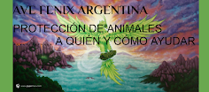 AVE FENIX ARGENTINA