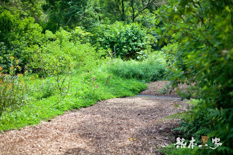 偶像劇「薰衣草」場景|花坊、蝴蝶生態區步道|飛牛牧場~唯美自然系IG景點