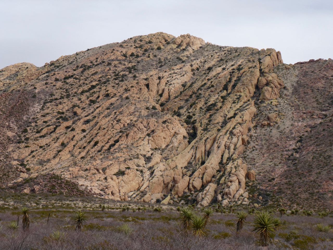 Greg's Running Adventures Organ MountainsDesert Peaks National Monument