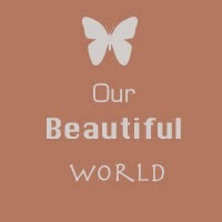 http://www.our--beautiful--world--365.blogspot.com/