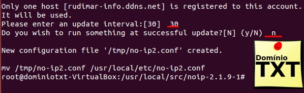 DominioTXT - NoIP no Ubuntu