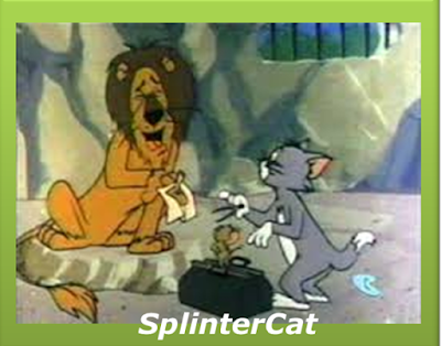 TomNJerry.png