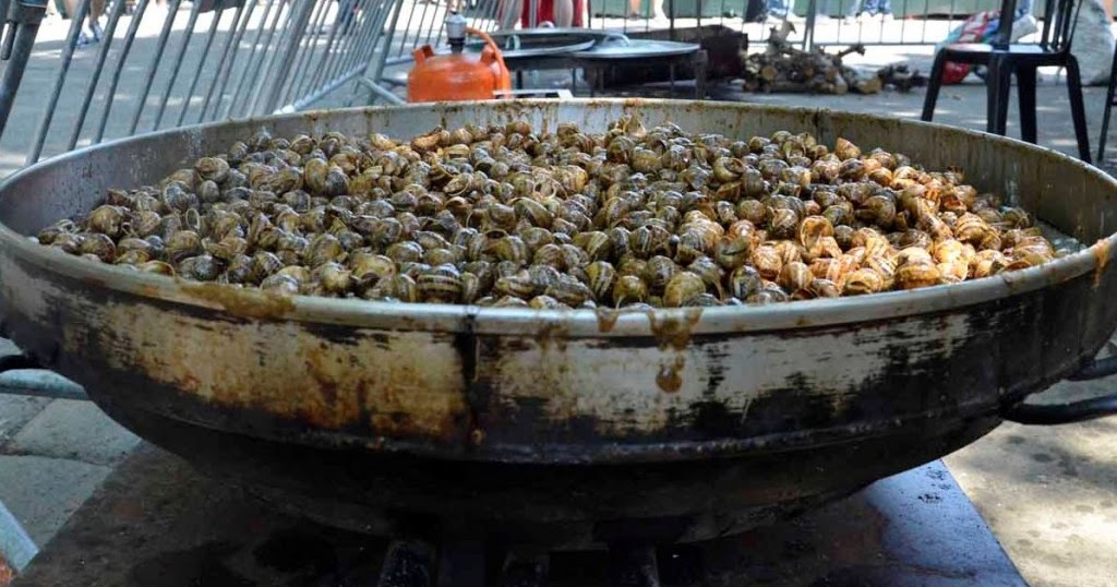 THE GRANDMA'S LOGBOOK THE SNAIL FESTIVAL IN LLEIDA WITH CLAIRE FONTAINE