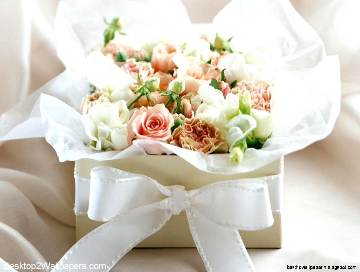 white rose wallpaper free