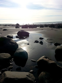Large rocks on a New Zealand black-sand beach at low tide.