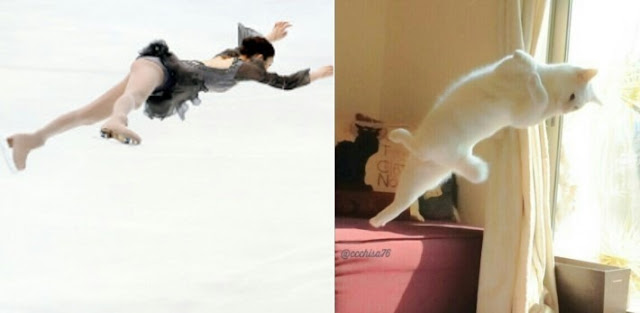 hdr_1486052579955%2B%25281%2529_thumb