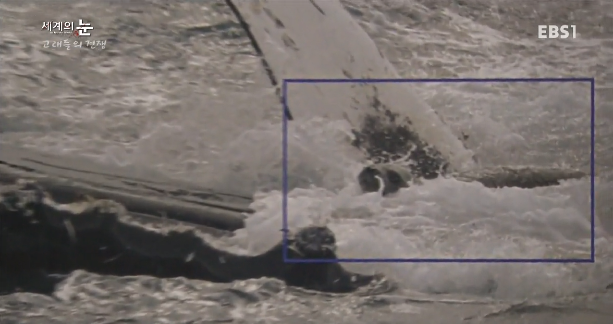 범고래 Vs혹등고래 | 인스티즈