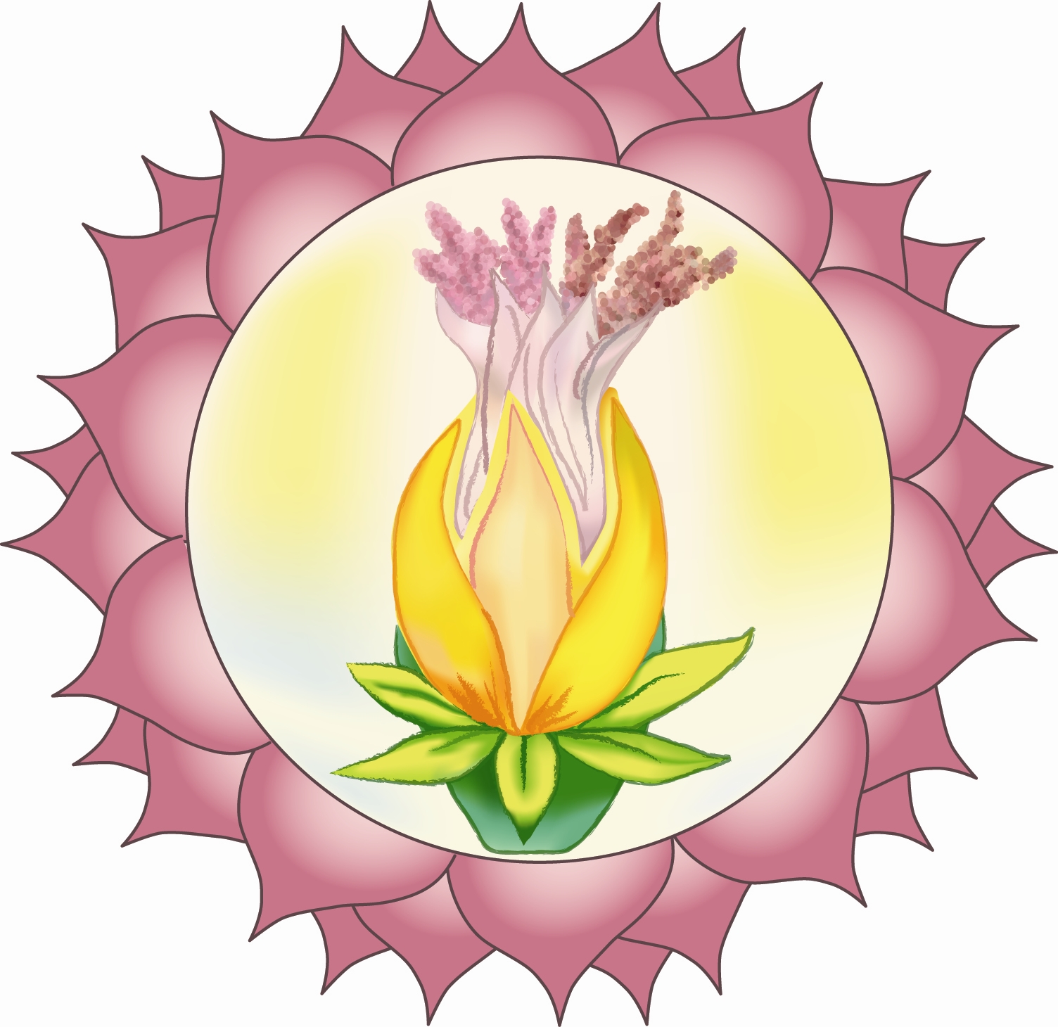 sintese-s-timo-chakra