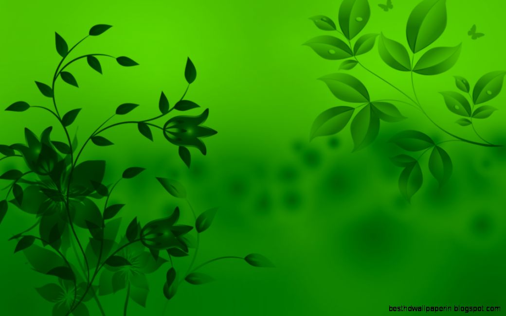 Green Wallpapers HD   Wallpaper Cave