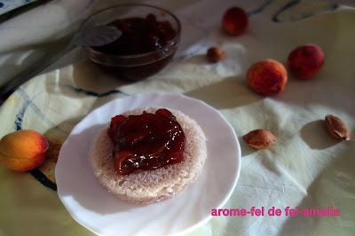 DULCEATA DE ZARZARE CU PEPENE GALBEN