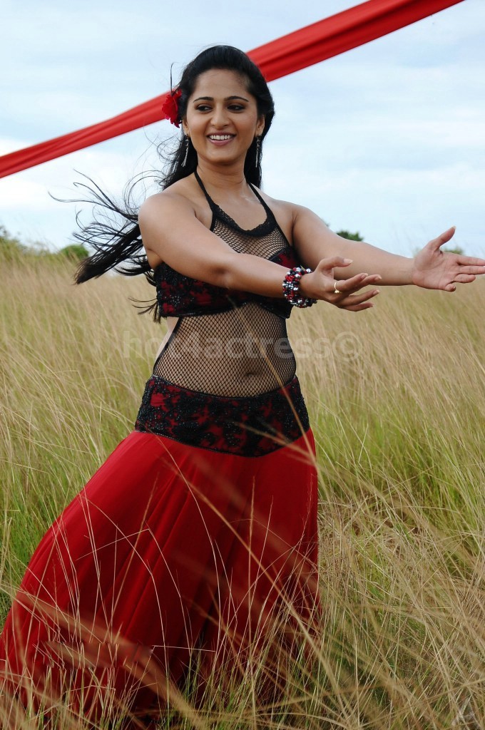 Actress Anushka Hot Navel Show Photos Hot 4 Actress