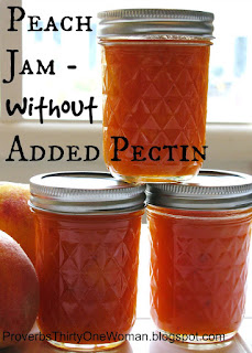 https://proverbsthirtyonewoman.blogspot.com/2014/09/making-peach-jam-without-added-pectin.html#.WuDZsX8h0dh