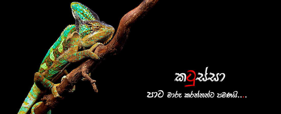                  කටුස්සා