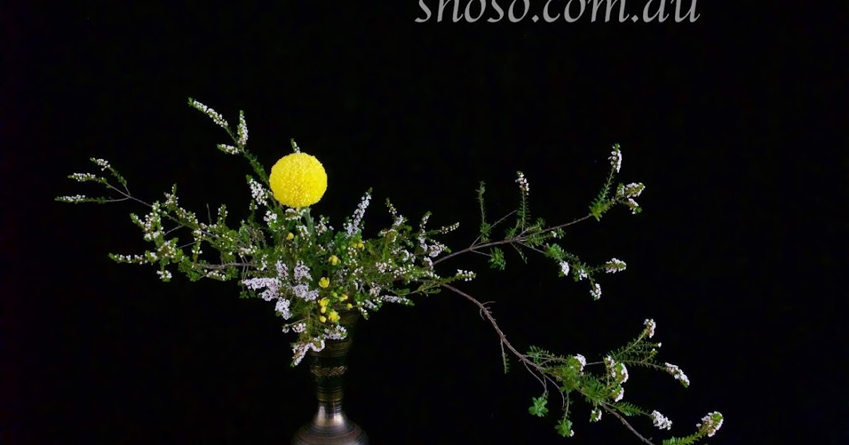Shoso Shimbo Special Ikebana