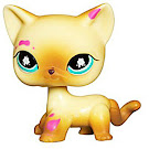 Littlest Pet Shop Pet Pairs Cat Shorthair (#816) Pet