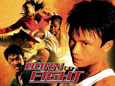 Poster Of Born to Fight (2004) In Hindi Dubbed 300MB Compressed Small Size Pc Movie Free Download Only At worldfree4u.com
