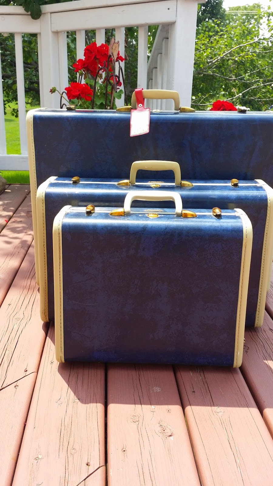 Vintage Diana Cleaning Vintage Suitcases