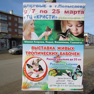 Волшебный фонарик Выставка бабочек