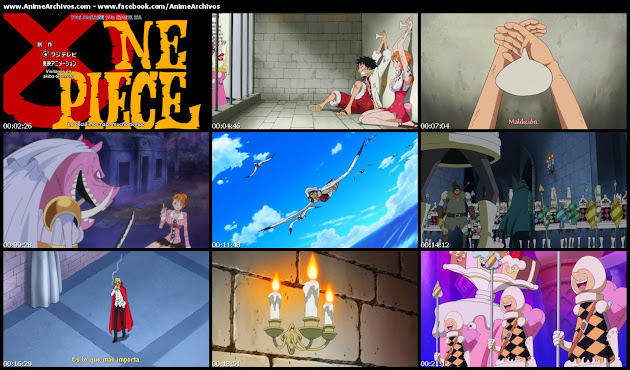 One Piece 813