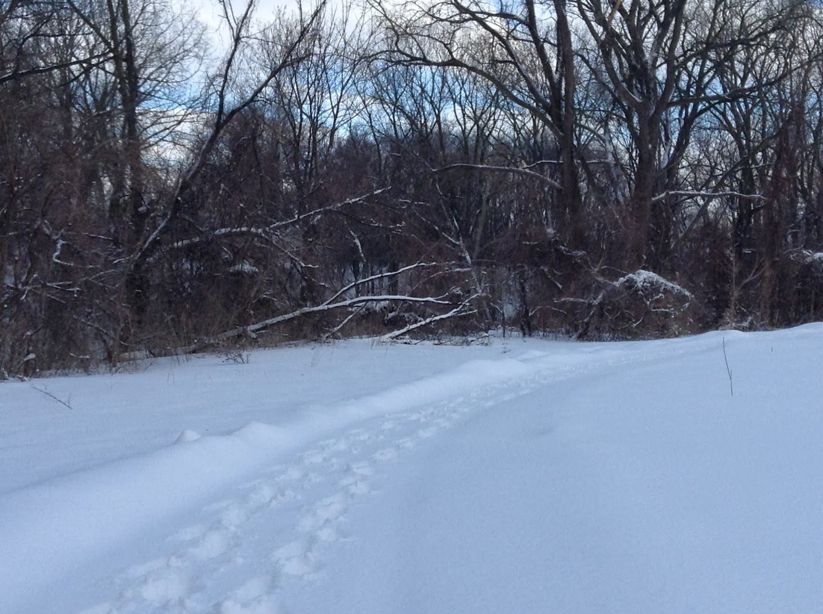 Highland Heights Neighborhood Association