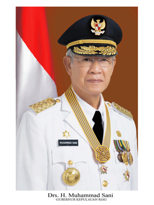 Inilah Sambutan Gubernur Kepelauan Riau Dalam Rangka HUT RI Ke 68