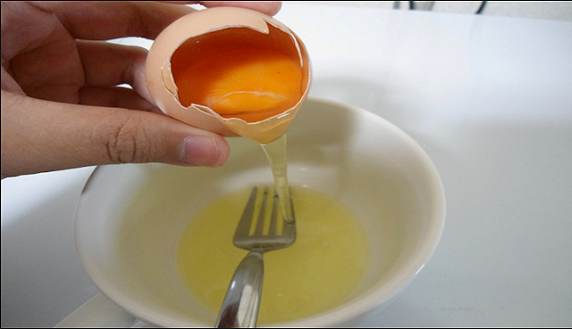 Manfaat Putih Telur sebagai Obat LUKA BAKAR
