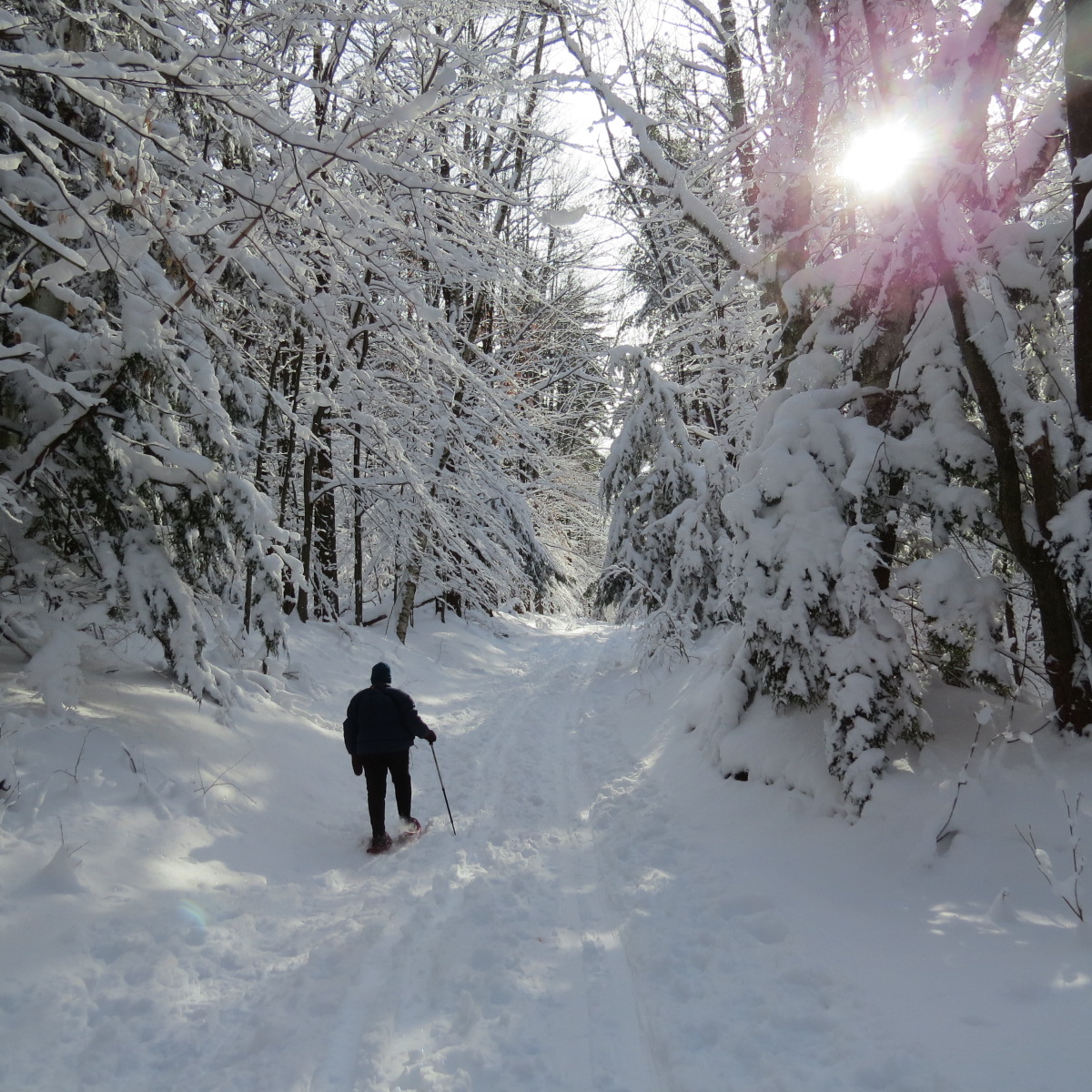 Jericho, Vermont Photos
