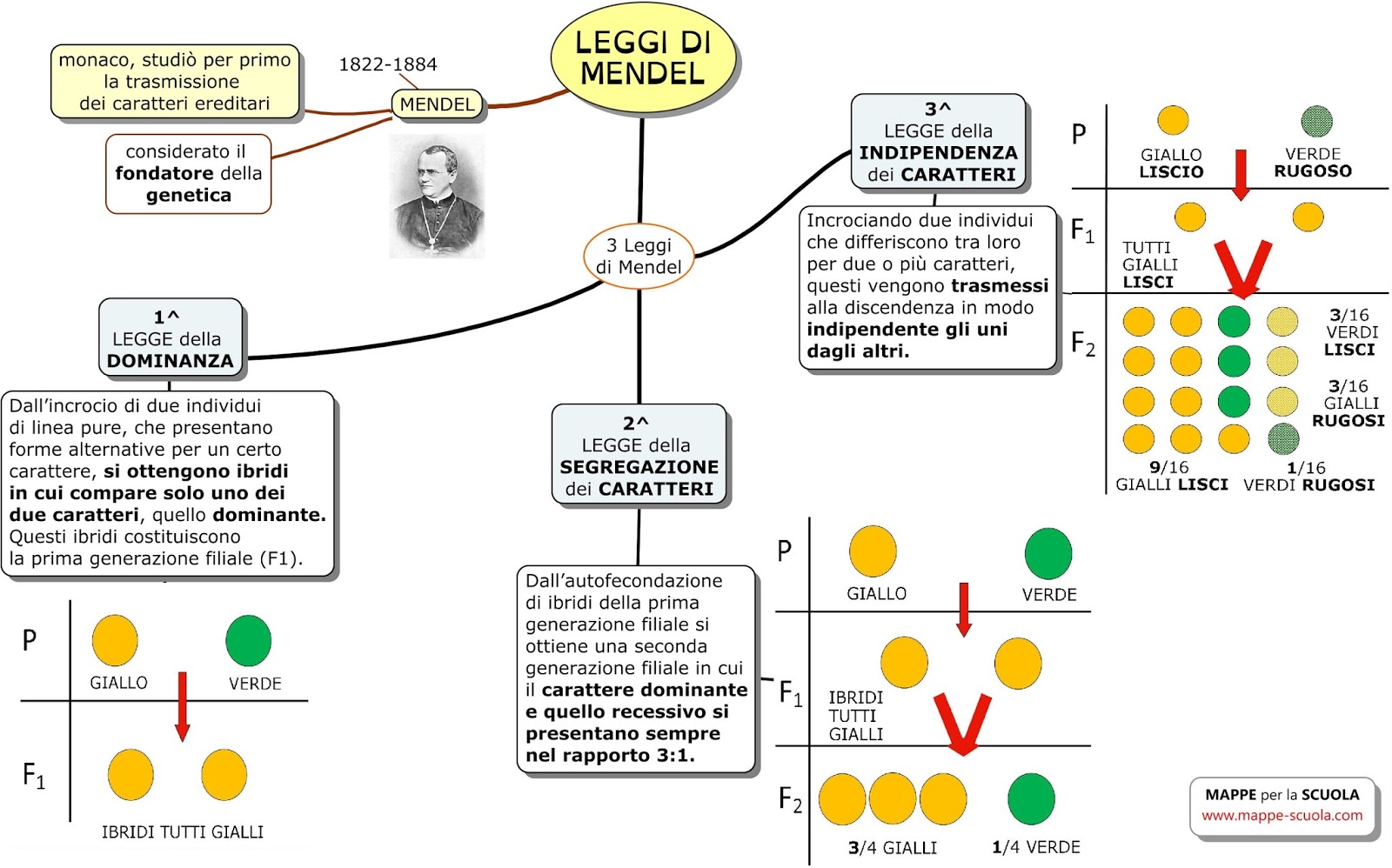 Mappa Concettuale Diritti Umani Terza Media Calcolo Del Termine Incognito Di Una Proporzione🔺 - Lessons - Blendspace